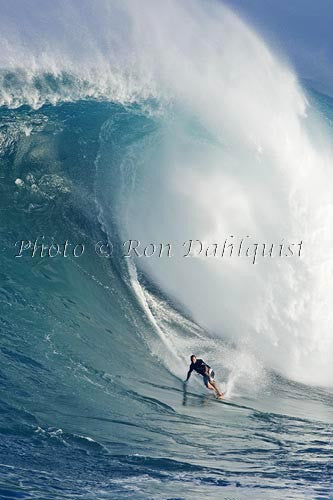 Surfer, Dave Kalama, on a big day at Peahi, also known as Jaws, Maui, Hawaii MNR - Hawaiipictures.com