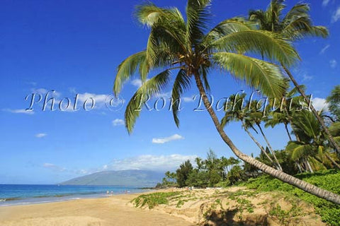 Kamaole beach and palm trees, Kihei, Maui, Hawaii Picture Photo - Hawaiipictures.com