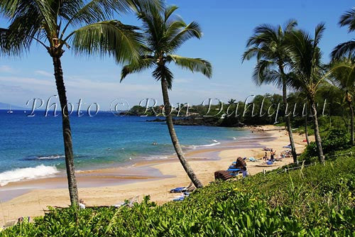Kamaole beach and palm trees, Kihei, Maui, Hawaii Picture - Hawaiipictures.com