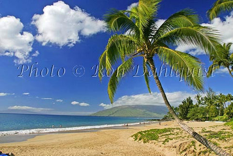 Kamaole beach and palm trees, Kihei, Maui, Hawaii - Hawaiipictures.com