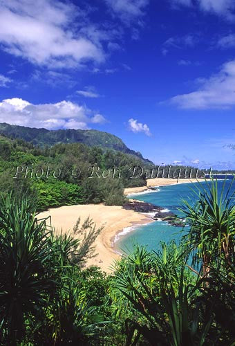 Lumahai Beach, Kauai, Hawaii - Hawaiipictures.com