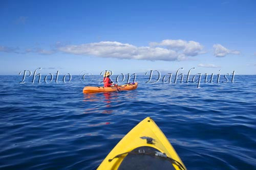Kayaking off the south shore of Maui, Hawaii Picture - Hawaiipictures.com