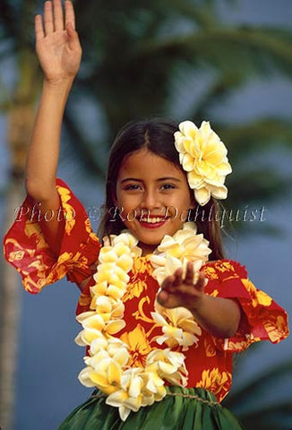 Keiki hula dancer, Maui, Hawaii Picture Photo Print - Hawaiipictures.com