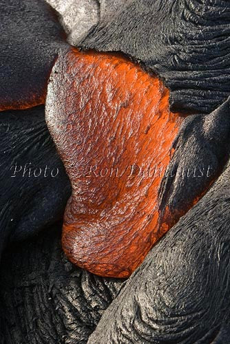 Molten pahoehoe lava surface flow. East Rift Zone of Kilauea Volcano, Big Island of Hawaii Picture Photo Stock Photo - Hawaiipictures.com