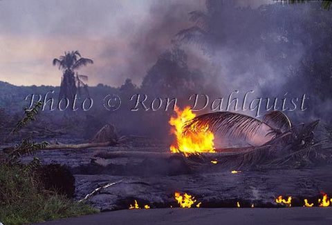 Lava from Kilauea volcano, crossing the road. Big Island of Hawaii - Hawaiipictures.com