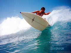Hawaii Surfing Picture