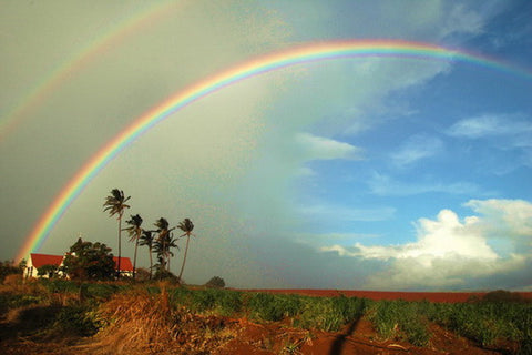 Picture Of Rainbow Over Kauai - Hawaiipictures.com