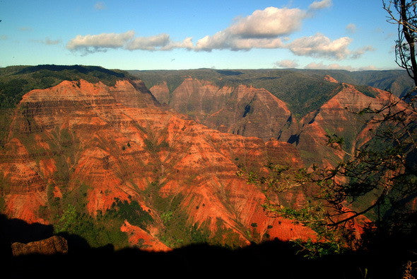 Red Rocks Waimea Canyon Kauai - Hawaiipictures.com