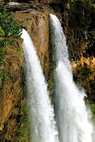 Picture Of Wailau Falls - Hawaiipictures.com