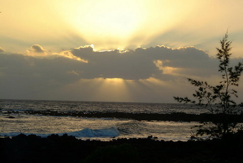 Picture Of Sunburst At Poipu - Hawaiipictures.com