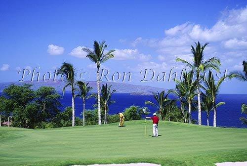 Golfers on Wailea Gold Golf course, Maui, Hawaii Picture - Hawaiipictures.com