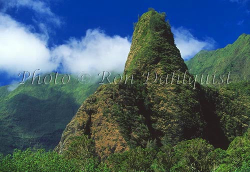 Iao Needle at Iao Valley State Park, Maui, Hawaii Picture Photo - Hawaiipictures.com