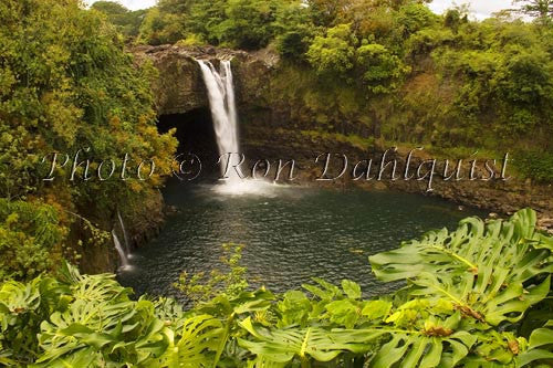 Rainbow Falls, Hilo, Big Island of Hawaii Picture - Hawaiipictures.com