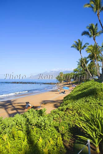 Poolenalena Beach, Makena, Maui, Hawaii Picture Photo - Hawaiipictures.com