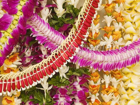 Beautiful assortment of fresh flower lei. Hawaii - Hawaiipictures.com