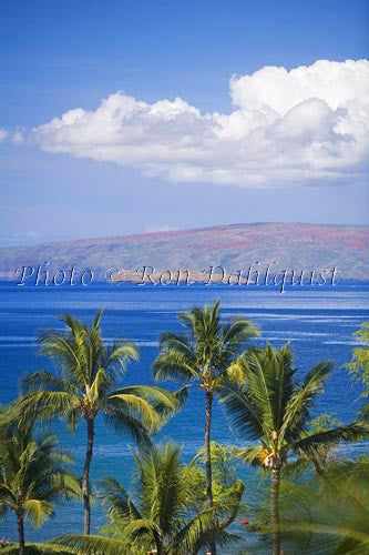 View over palm trees of Molokini and Kahoolawe as seen from the Wailea area, Maui - Hawaiipictures.com