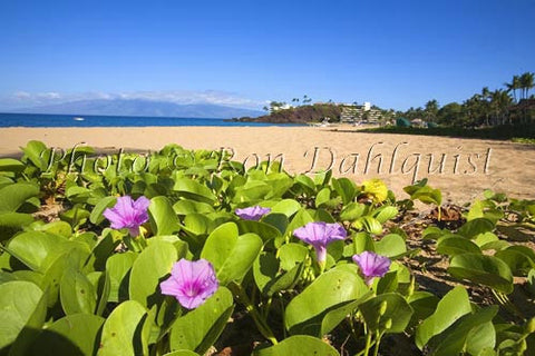 Kaanapali Beach and Black Rock, Maui, Hawaii Photo - Hawaiipictures.com