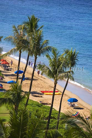 Kaanapali Beach, Maui, Hawaii Picture - Hawaiipictures.com