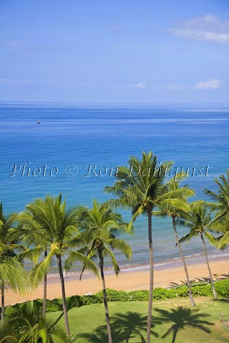 Mokapu Beach, Wailea, Maui, Hawaii Picture Stock Photo - Hawaiipictures.com