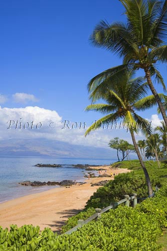 Mokapu Beach, Wailea, Maui, Hawaii Photo Stock Photo - Hawaiipictures.com