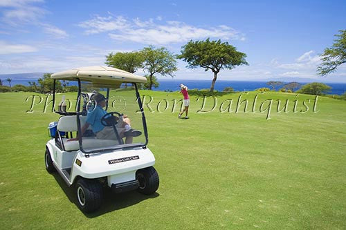 Couple playing golf at the Wailea Gold Golf Course, Wailea, Maui, Hawaii Picture - Hawaiipictures.com