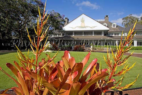 Koele Lodge framed by Bromeliad, Lanai City, Lanai - Hawaiipictures.com