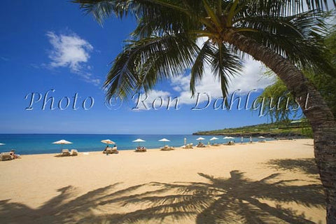 Palm trees on beautiful Hulopoe Beach at Manele Bay, Lanai, Hawaii - Hawaiipictures.com