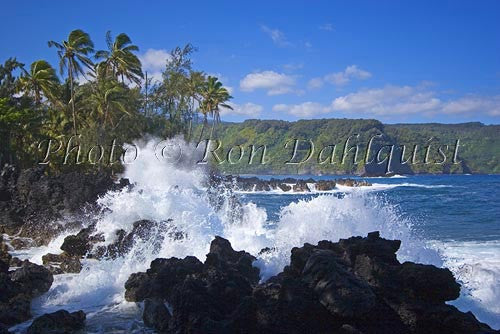 Waves breaking at Keanae peninsula, north shore of Maui, Hawaii - Hawaiipictures.com
