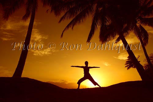 Silhouette of yoga postures at sunset with palm trees, Maui, Hawaii - Hawaiipictures.com