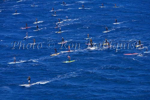 Stand-up paddle board race, Maui, Hawaii Photo - Hawaiipictures.com