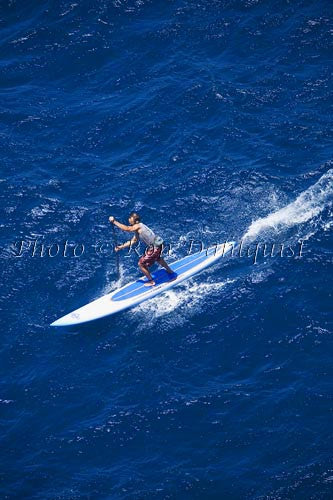 Stand-up paddle board race, Maui, Hawaii Picture - Hawaiipictures.com