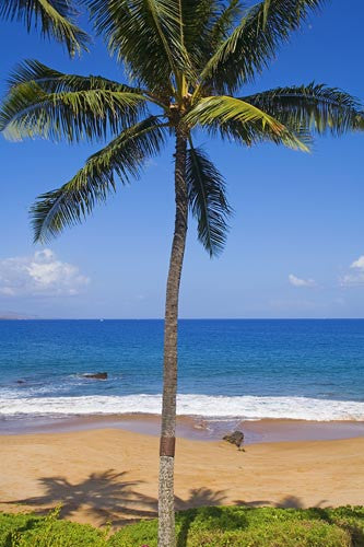 Poolenalena Beach, Makena, Maui, Hawaii - Hawaiipictures.com