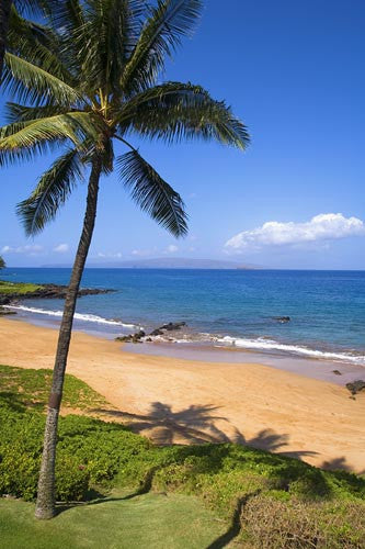 Poolenalena Beach, Makena, Maui, Hawaii Picture - Hawaiipictures.com