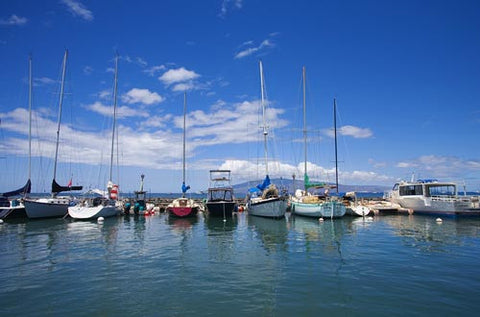 Lahaina Harbor, Maui, Hawaii Picture - Hawaiipictures.com