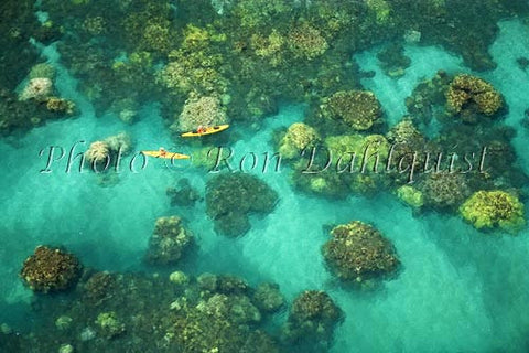 Aerial view of kayakers in the turquoise water and coral off of Olowalu, Maui, Hawaii Picture - Hawaiipictures.com
