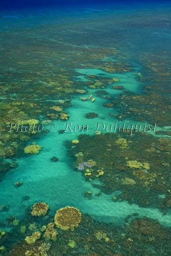 Aerial view of kayakers in the turquoise water and coral off of Olowalu, Maui, Hawaii Photo - Hawaiipictures.com