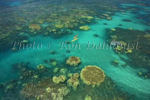 Aerial view of kayakers in the turquoise water and coral off of Olowalu, Maui, Hawaii Stock Photo - Hawaiipictures.com
