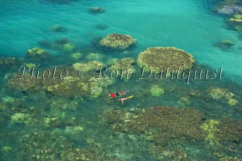 Snorkelers exploring the beautiful coral near Olowalu, Maui, Hawaii - Hawaiipictures.com