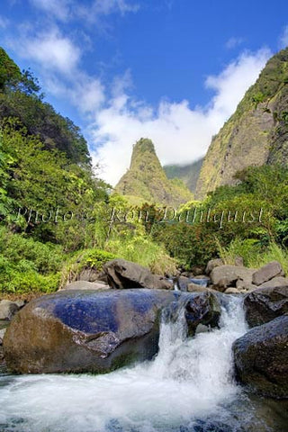 Iao Needle at Iao Valley State Park, Maui, Hawaii Photo - Hawaiipictures.com