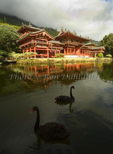 Byodo-In Temple, Valley of the Temples, Ahuimanu Valley, Kaneohe, Oahu, HI Picture Photo Stock Photo - Hawaiipictures.com