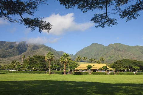 Maui Tropical Plantation, Waikapu, Maui, Hawaii - Hawaiipictures.com