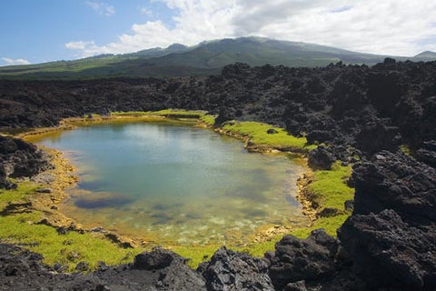 Anchialine pond, Ahihi Kinau Natural Reserve, Makena, Maui, Hawaii - Hawaiipictures.com
