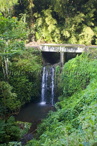 Waterfall and old bridge on the road to Hana. Maui, Hawaii - Hawaiipictures.com