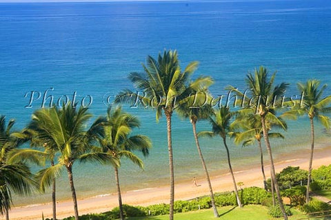 Palm lined, Mokapu Beach, Wailea, Maui, Hawaii - Hawaiipictures.com