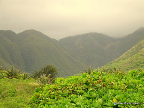 Halawa Valley Picture - Hawaiipictures.com