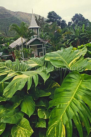 Old church in Halawa Valley, Molokai, Hawaii - Hawaiipictures.com