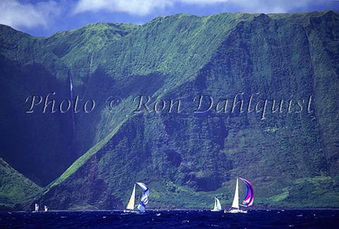 Sailboat race and cliffs on north shore of Molokai, Hawaii - Hawaiipictures.com