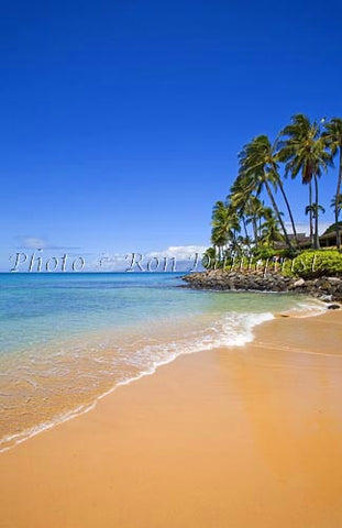 Napili Beach and Bay, Maui, Hawaii Picture Photo - Hawaiipictures.com