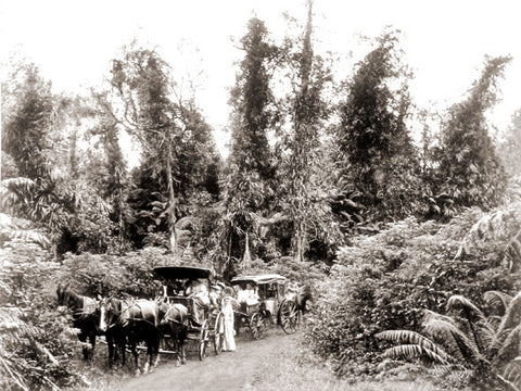 1900's Picture Of Visitors On Volcano Road - Hawaiipictures.com