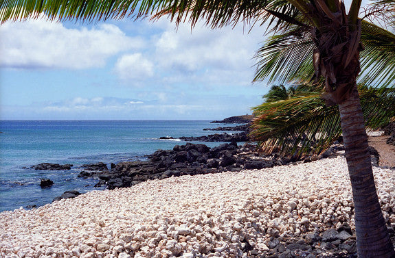 Coral Beach Kona Side of the Big Island - Hawaiipictures.com